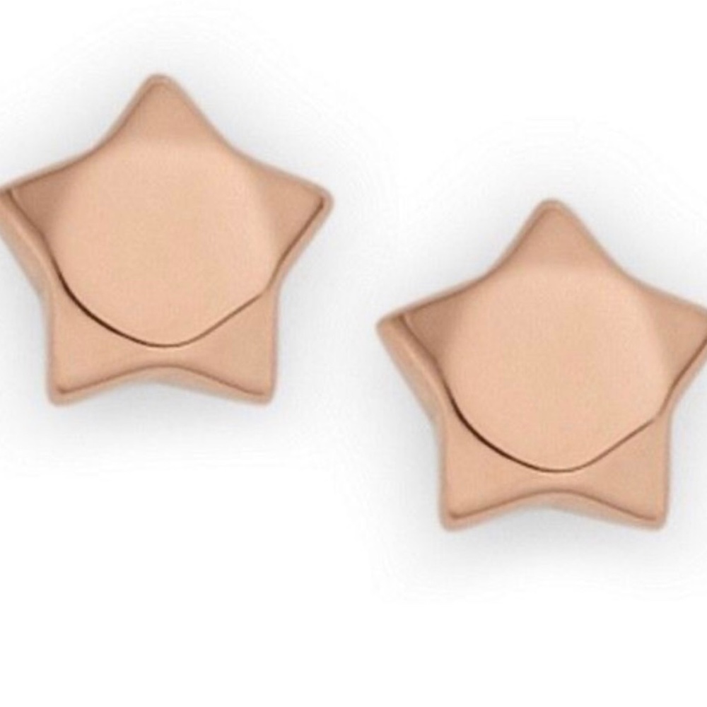 Wanted: Fossil star stud earrings